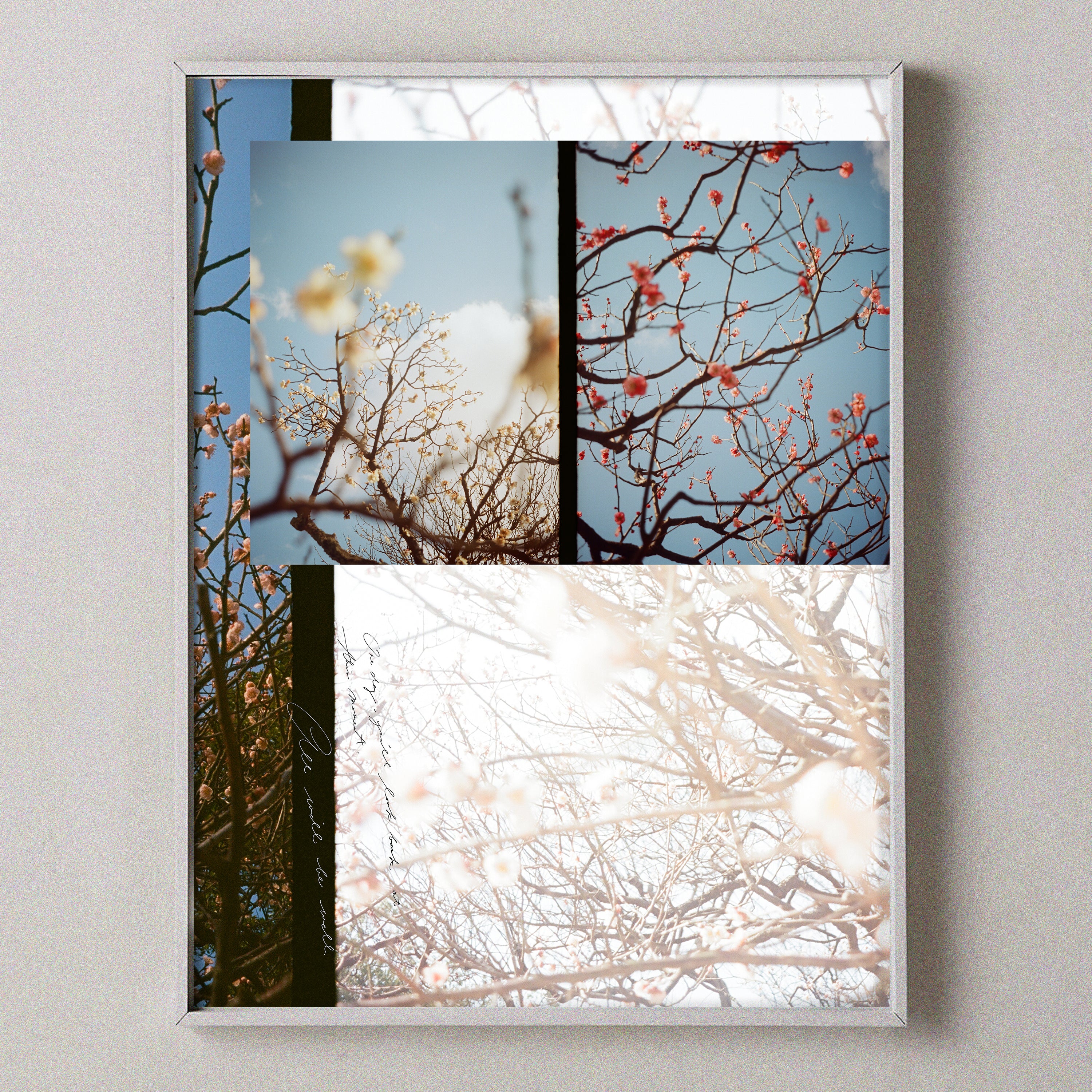 Ume