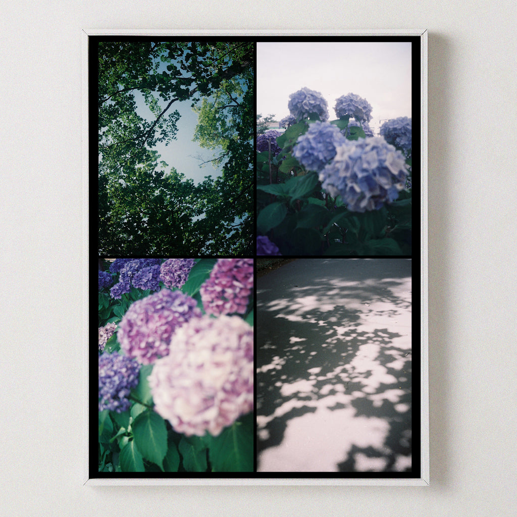 Evergreen (ver.2)