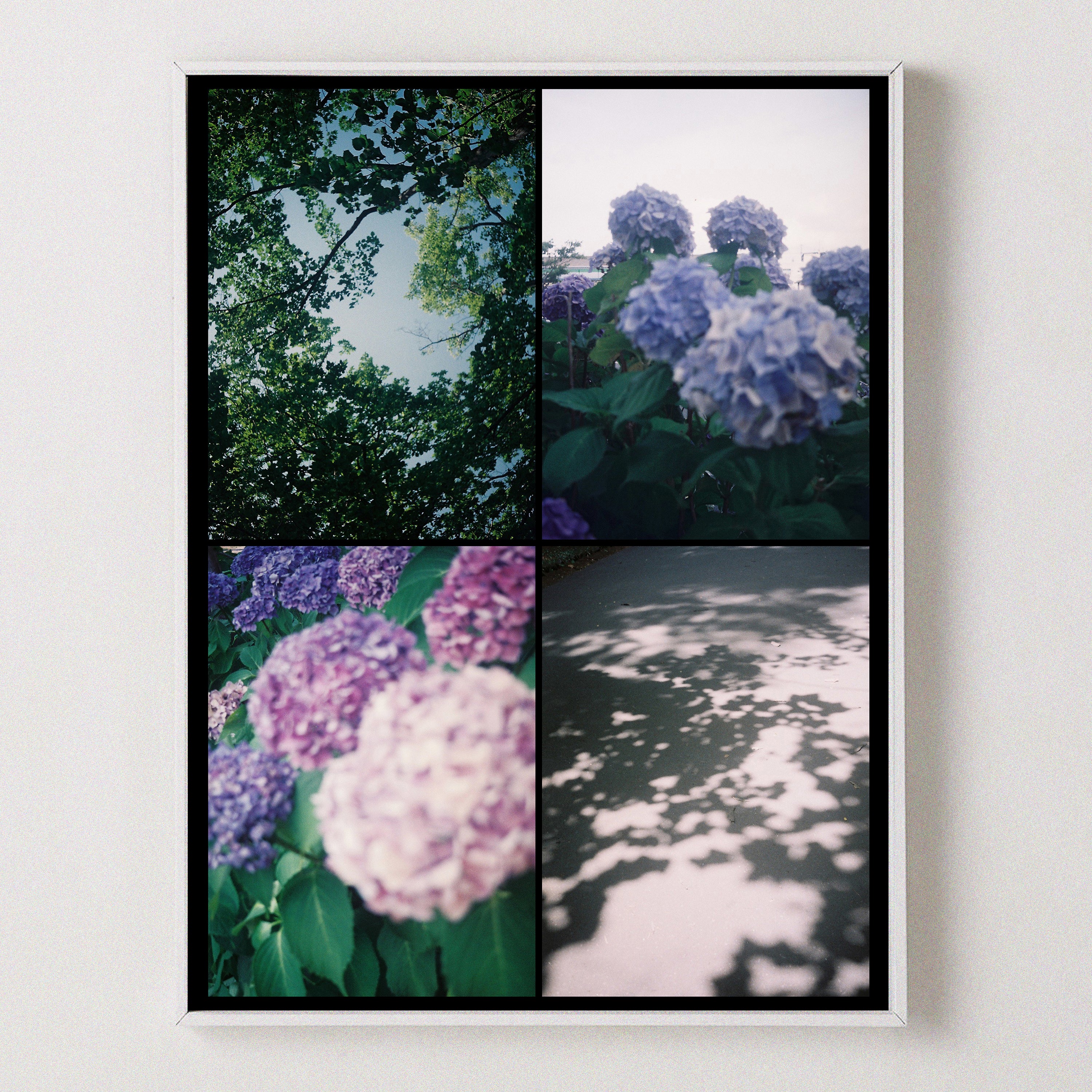 Evergreen (ver.2)