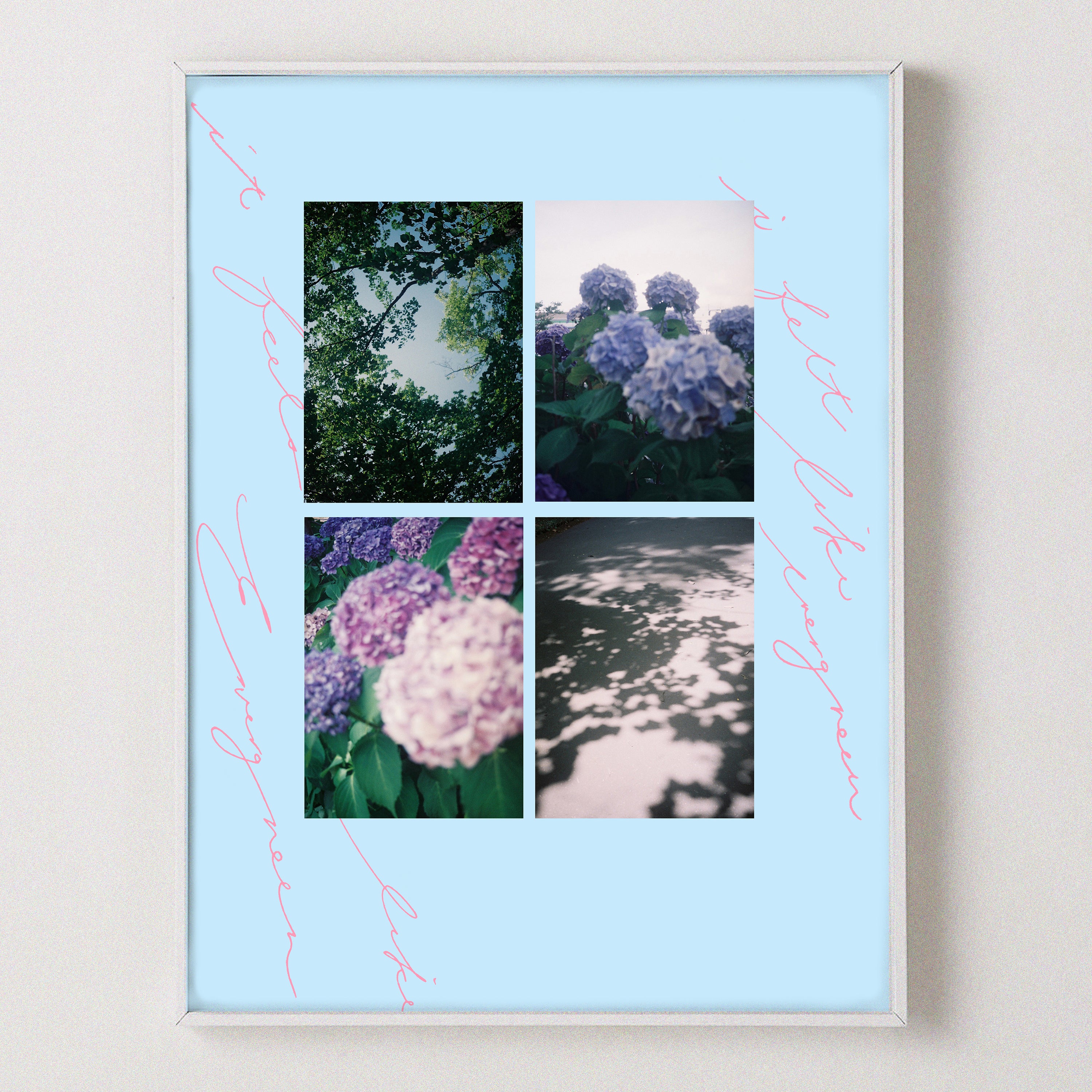 Evergreen (ver.3)